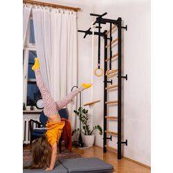 Шведская стенка BenchK 721B + A076 (Black/Wood) Thumb