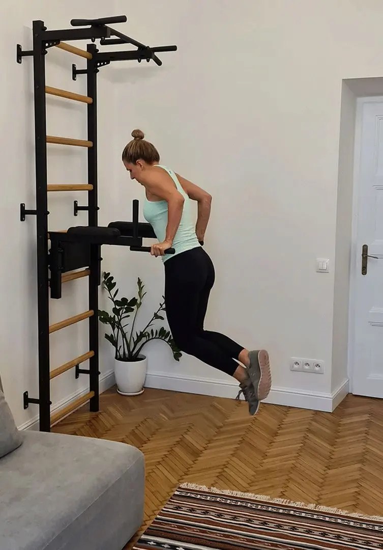 Шведская стенка BenchK 723B (Black/Wood)