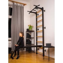 Шведская стенка BenchK 723B (Black/Wood) Thumb