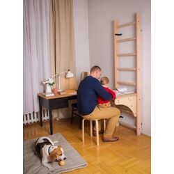 Шведская стенка BenchK 731W (Wood) Thumb