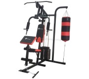 Многофункциональный тренажер FitTronic AM7300 (Black/Red)