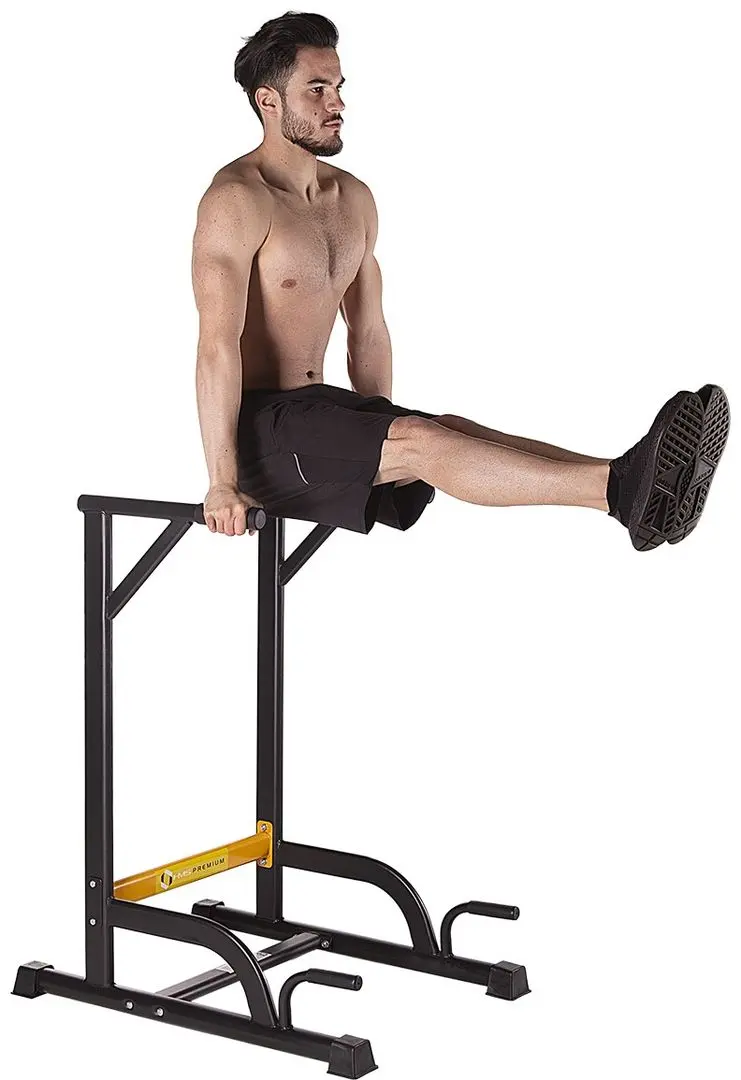 Мультифункциональный тренажер HMS Premium PWL8306 (Black/Yellow)