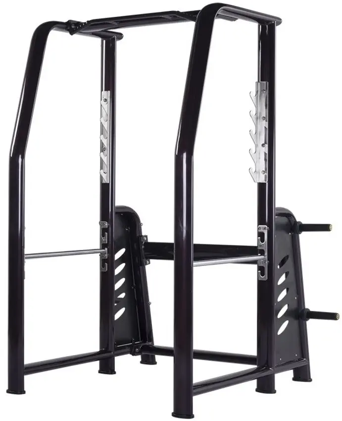 Aparat cadru MS Fitness H-021 (Black)