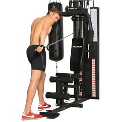 Многофункциональный тренажер Orion Classic L3 (Black) Thumb