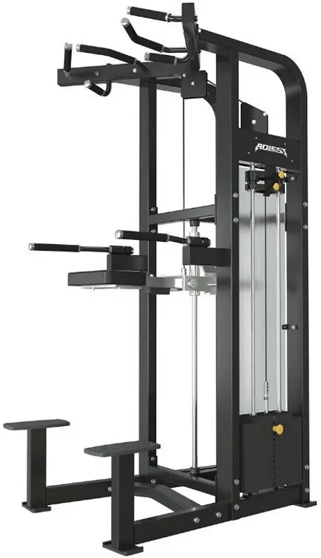 Aparat pentru triceps Sportmann ALA4011 (Black)