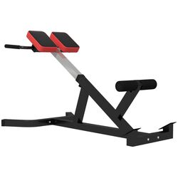 Banca pentru hiperextensie Sportnow A91-288V00BK (Black)