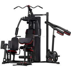 Aparat multifunctional TheWay Fitness MS635S (Black)
