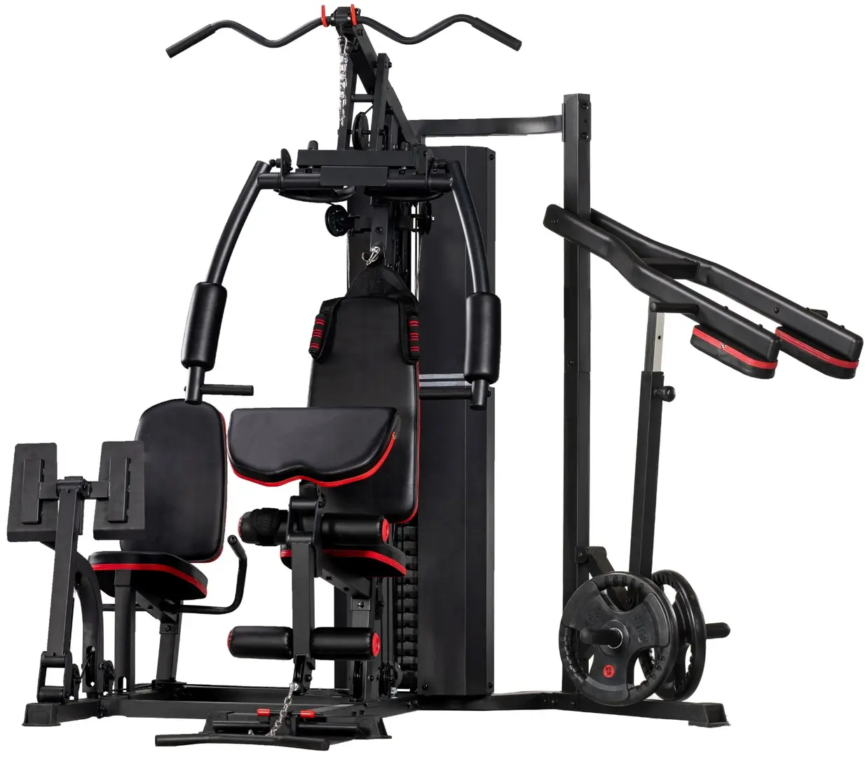 Aparat multifunctional TheWay Fitness MS635S (Black)
