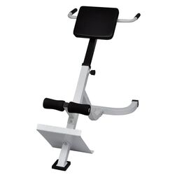 Скамья для гиперэкстензии VidaXL 90361 (Black) Thumb