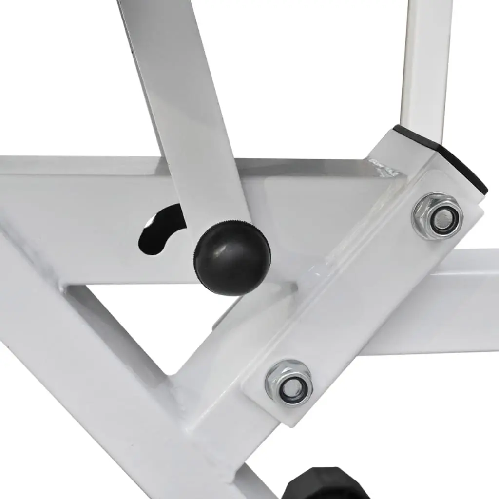 Banca abdominala VidaXL 90484 (Black)