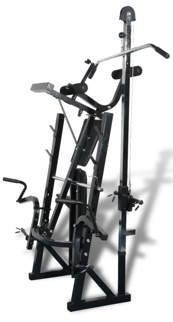 Banca multifunctionala vidaXL 90371 (Black)