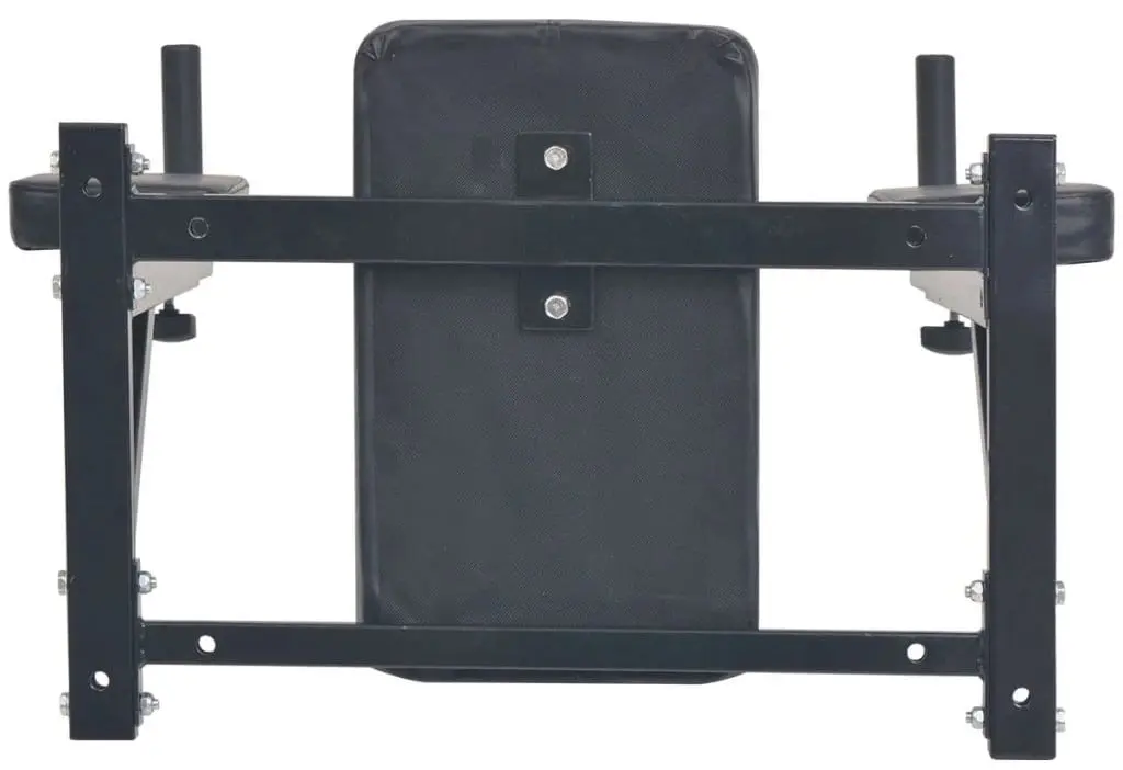 Тренажер для трицепсов и брюшного пресса vidaXL 91368 (Black)