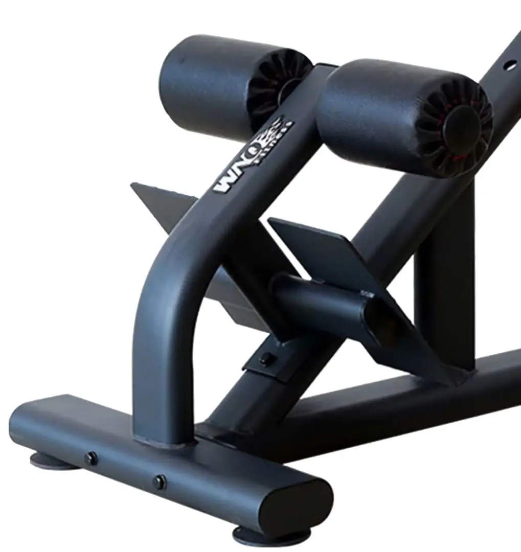 Скамья для гиперэкстензии WNQ F1-7093 (Black)
