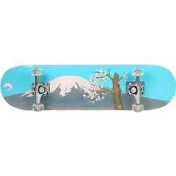 Скейтборд Best Sporting 303266 (Blue/Grey) Thumb