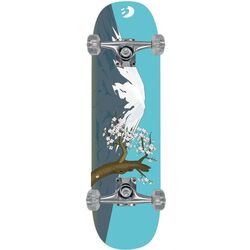Скейтборд Best Sporting 303266 (Blue/Grey)