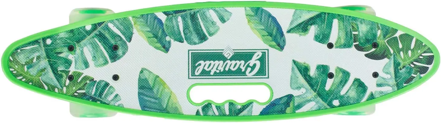 Skateboard Intex 2406