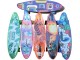 Skateboard Intex 2406