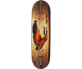 Skateboard Intex 808