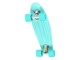 Penny board Nils Extreme Classic (Mint)