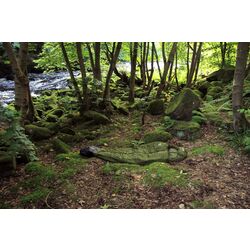 Спальный мешок DD Hammocks Jura 2 (Olive Green) Thumb