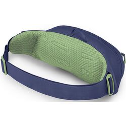 Borseta Osprey Daylite Waist (Blue Spikemoss/Alkaline) Thumb
