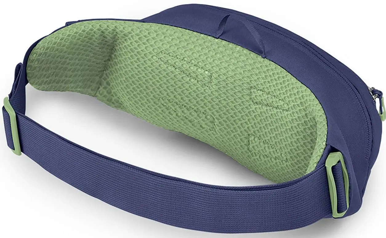 Borseta Osprey Daylite Waist (Blue Spikemoss/Alkaline)