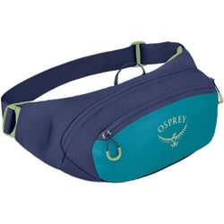 Поясная сумка  Osprey Daylite Waist (Blue Spikemoss/Alkaline)