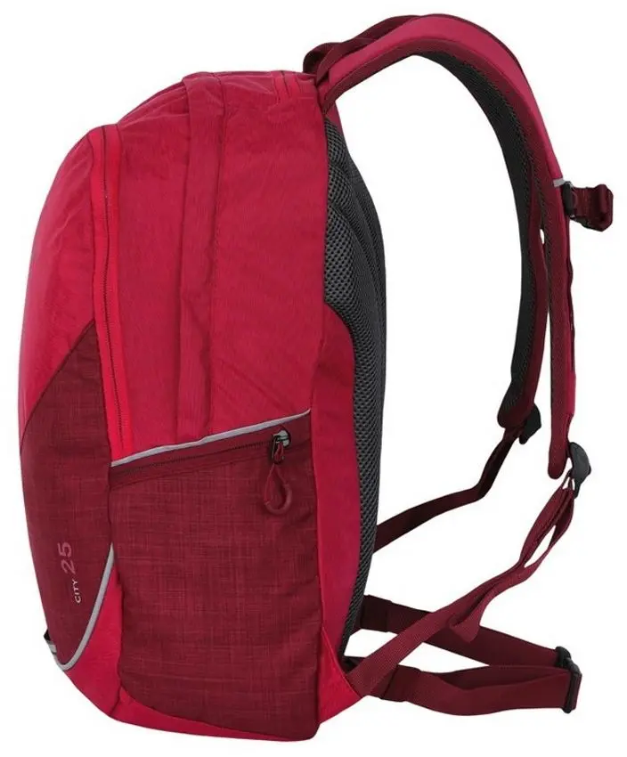 Рюкзак Hannah City 25 (Pink) - 2