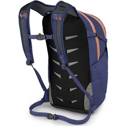 Rucsac Osprey Daylite Plus 20 (Wild Blossom Print/Alkaline) Thumb