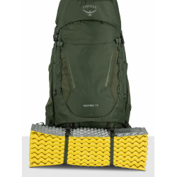 Рюкзак Osprey Kestrel 58 L/XL (Bonsai/Green) Thumb