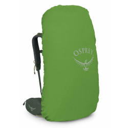 Рюкзак Osprey Kestrel 68 L/XL (Bonsai Green) Thumb