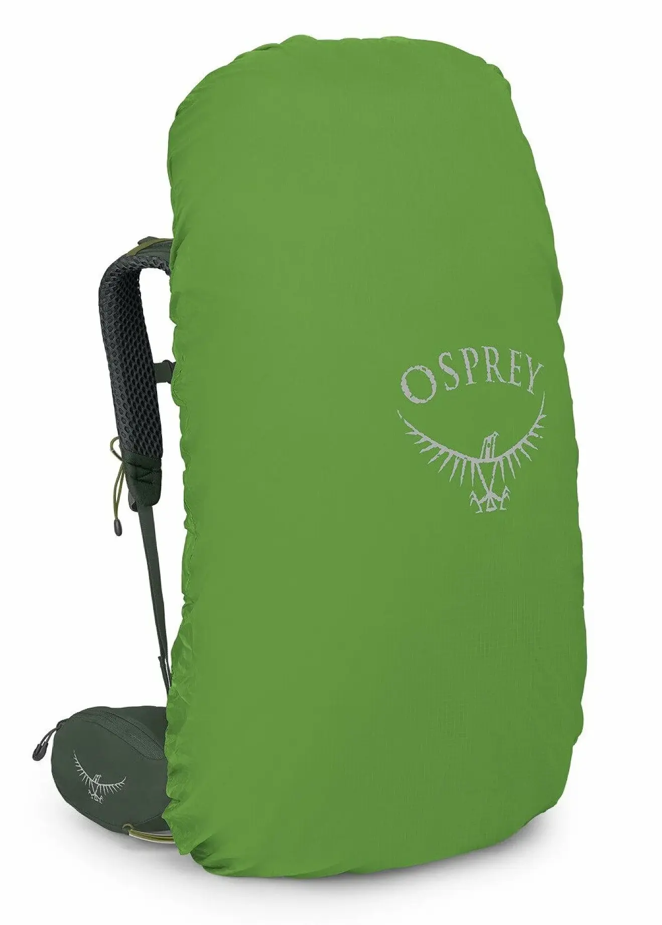 Рюкзак Osprey Kestrel 68 L/XL (Bonsai Green)