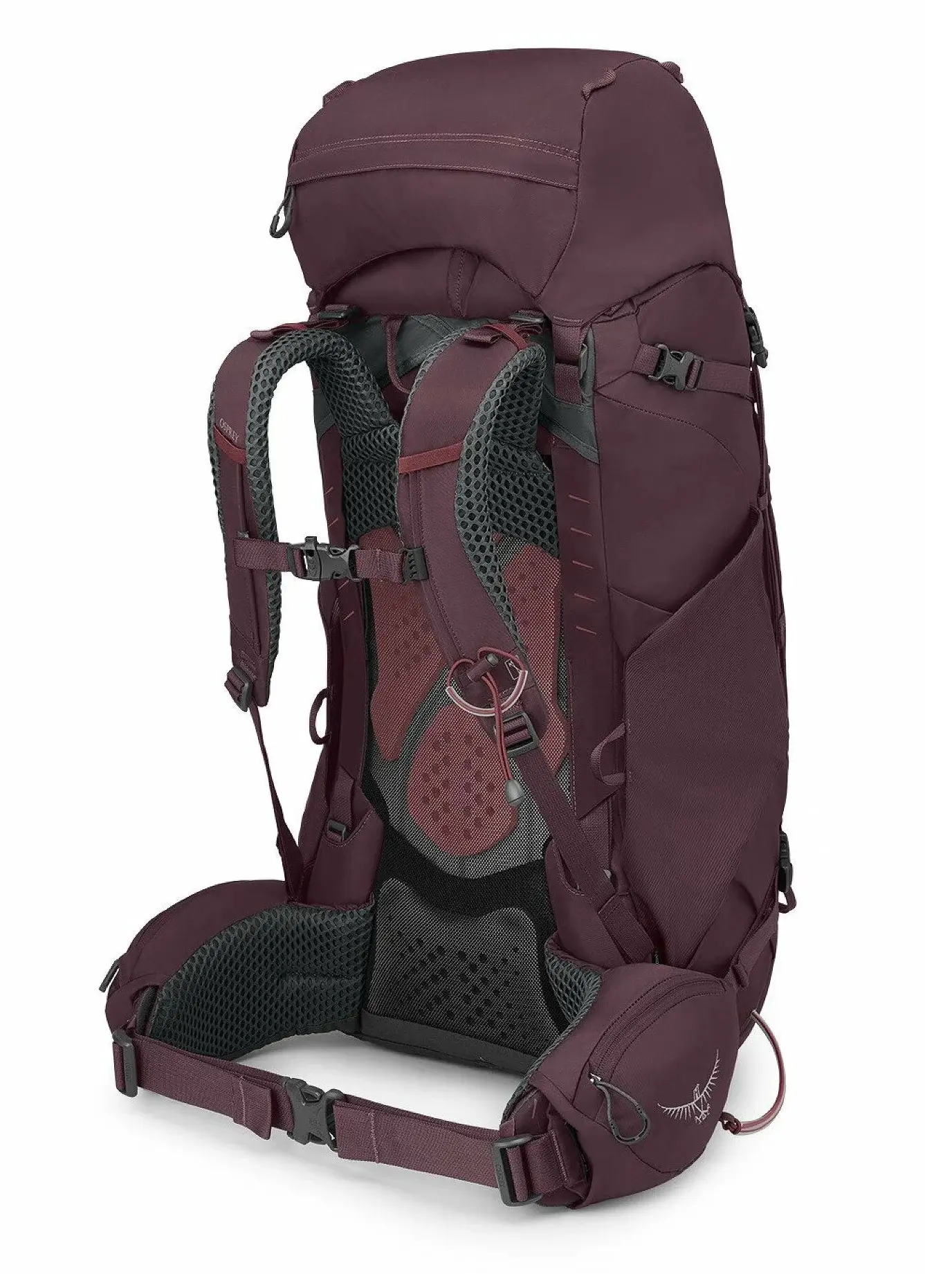 Рюкзак Osprey Kyte 58 WM/L (Elderberry Purple)