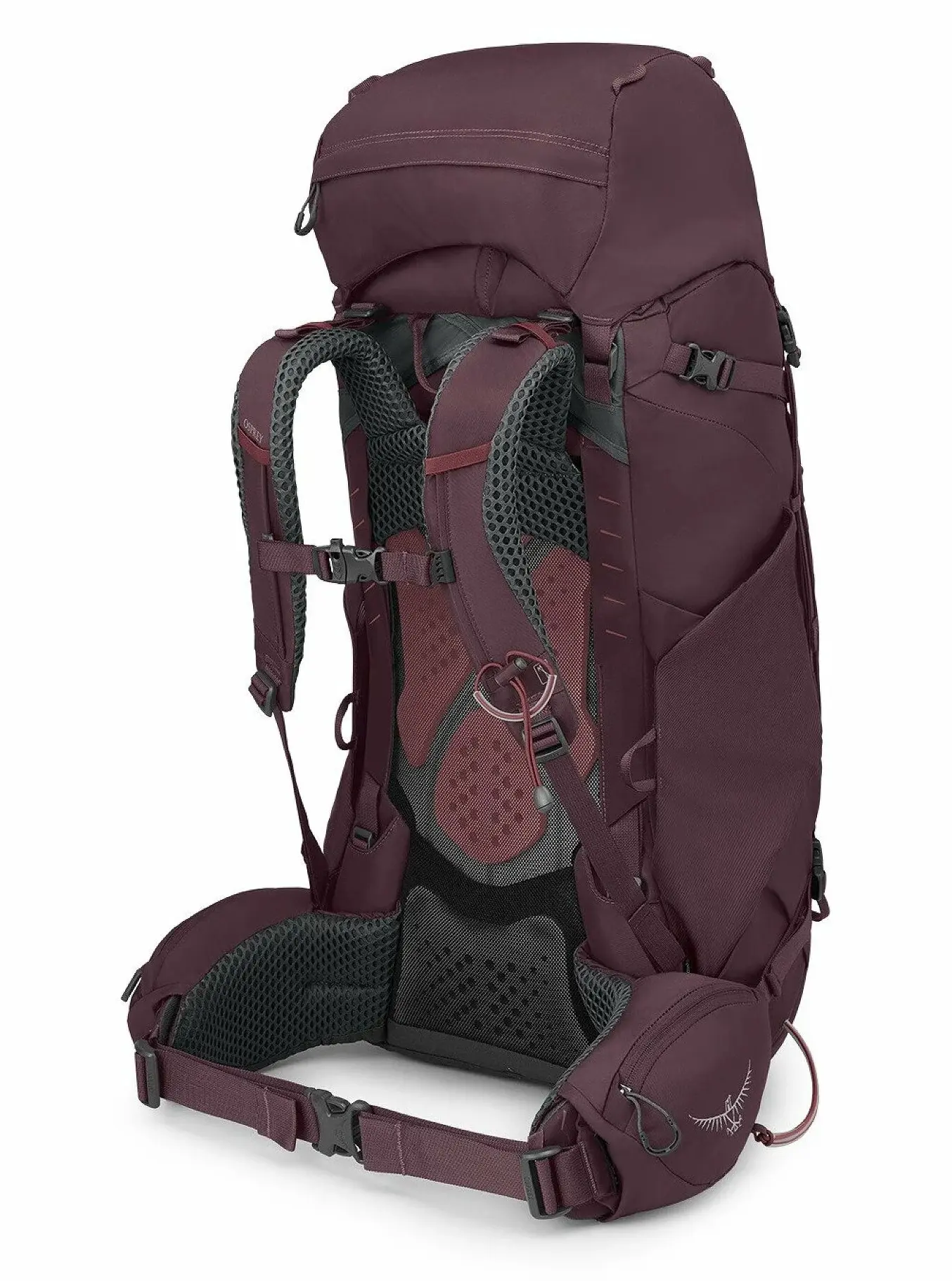 Rucsac Osprey Kyte 58 WXS/WS (Elderberry Purple)