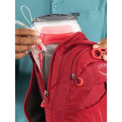 Rucsac Osprey Raptor 14 II (Cedar Green) Thumb