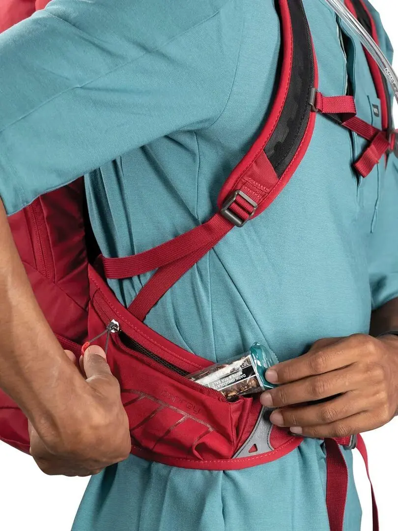 Rucsac Osprey Raptor 14 II (Cedar Green) - 5