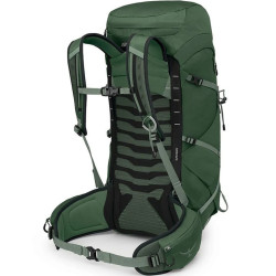 Rucsac Osprey Talon 33 O/S (Green Canopy/Pine Leaf) Thumb