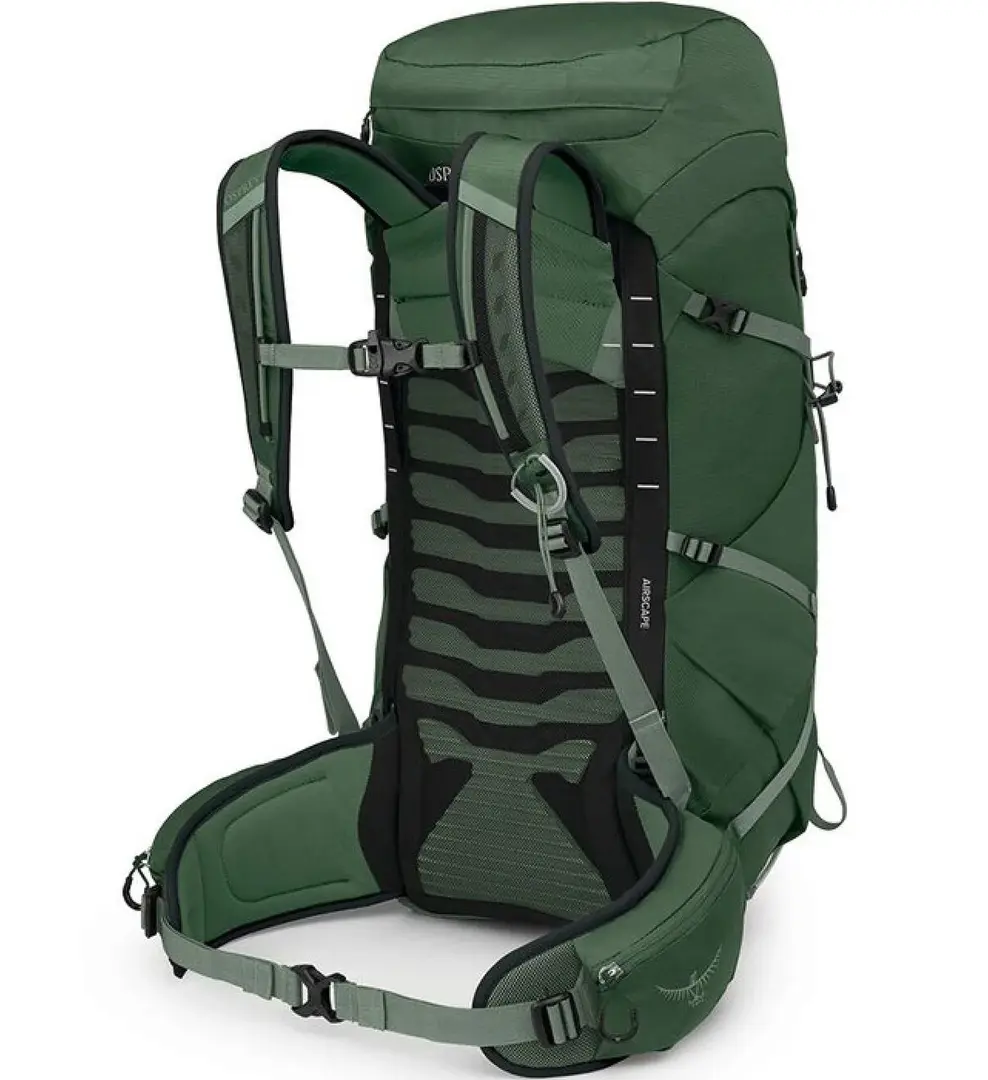 Rucsac Osprey Talon 33 O/S (Green Canopy/Pine Leaf)