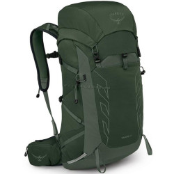 Rucsac Osprey Talon 33 O/S (Green Canopy/Pine Leaf)