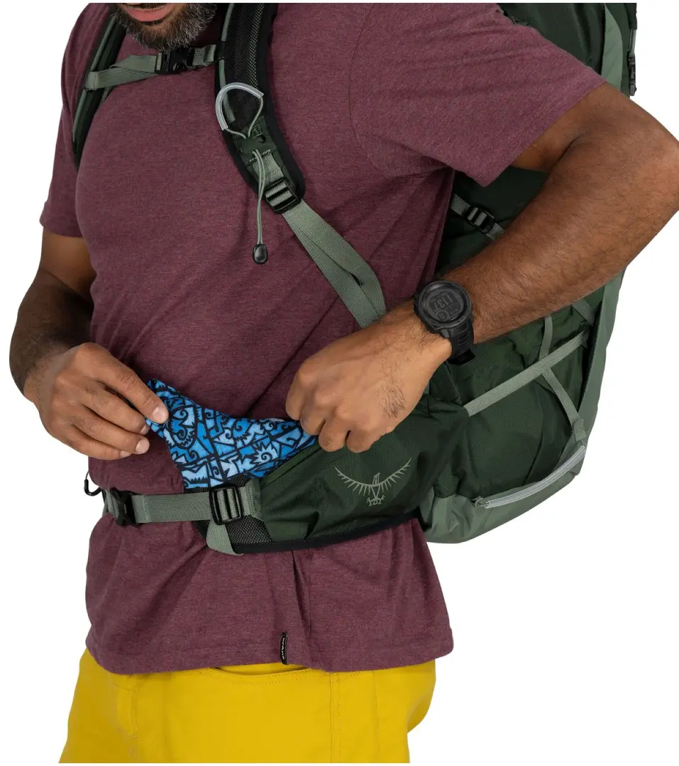 Rucsac Osprey Talon 33 O/S (Green Canopy/Pine Leaf)
