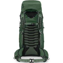 Rucsac Osprey Talon 44 L/XL (Green Canopy/Pine Leaf) Thumb