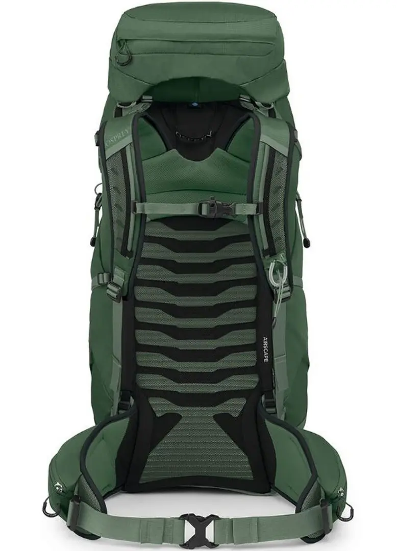 Rucsac Osprey Talon 44 L/XL (Green Canopy/Pine Leaf)