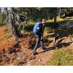 Рюкзак Pinguin Vector 35 (Navy) Thumb