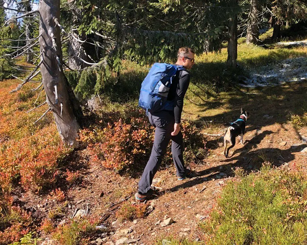 Рюкзак Pinguin Vector 35 (Navy)