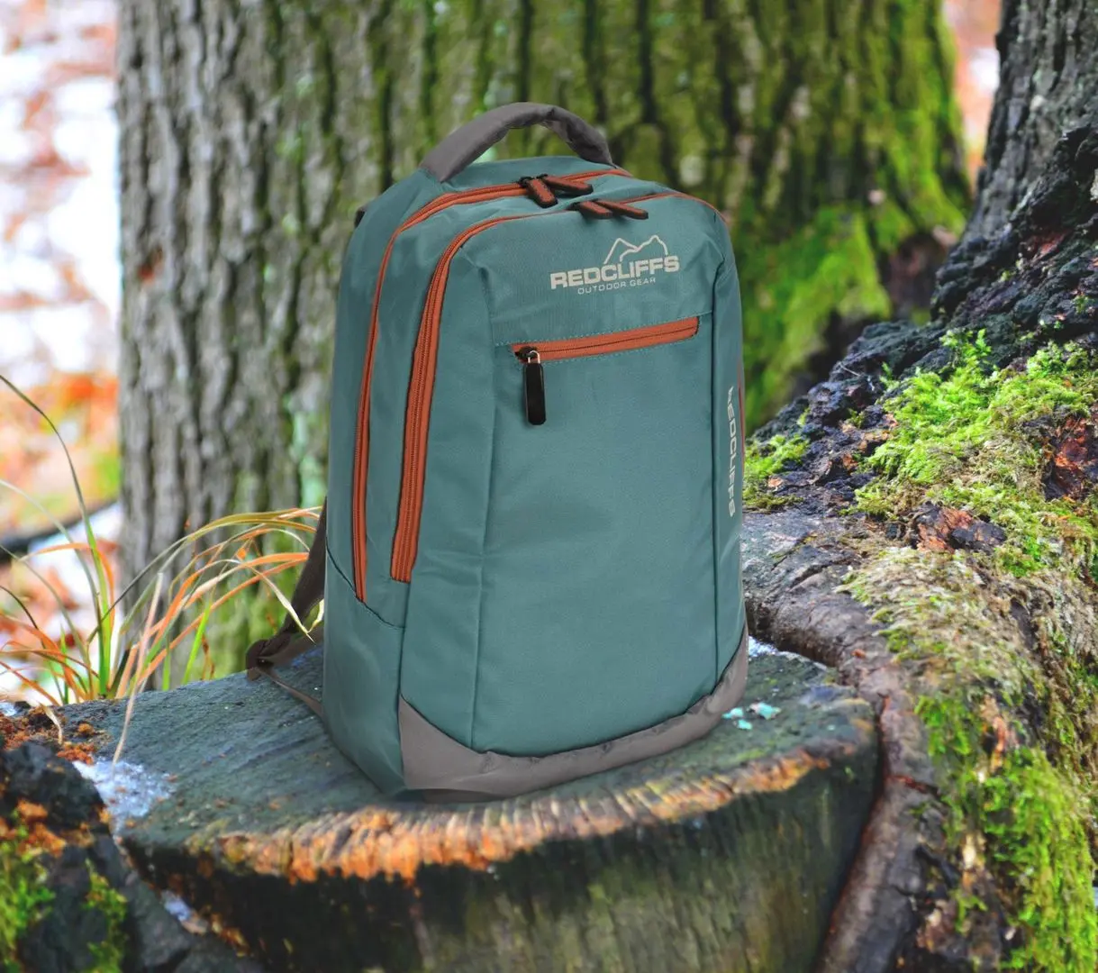 Рюкзак Redcliffs 1058962 (Blue) - 3