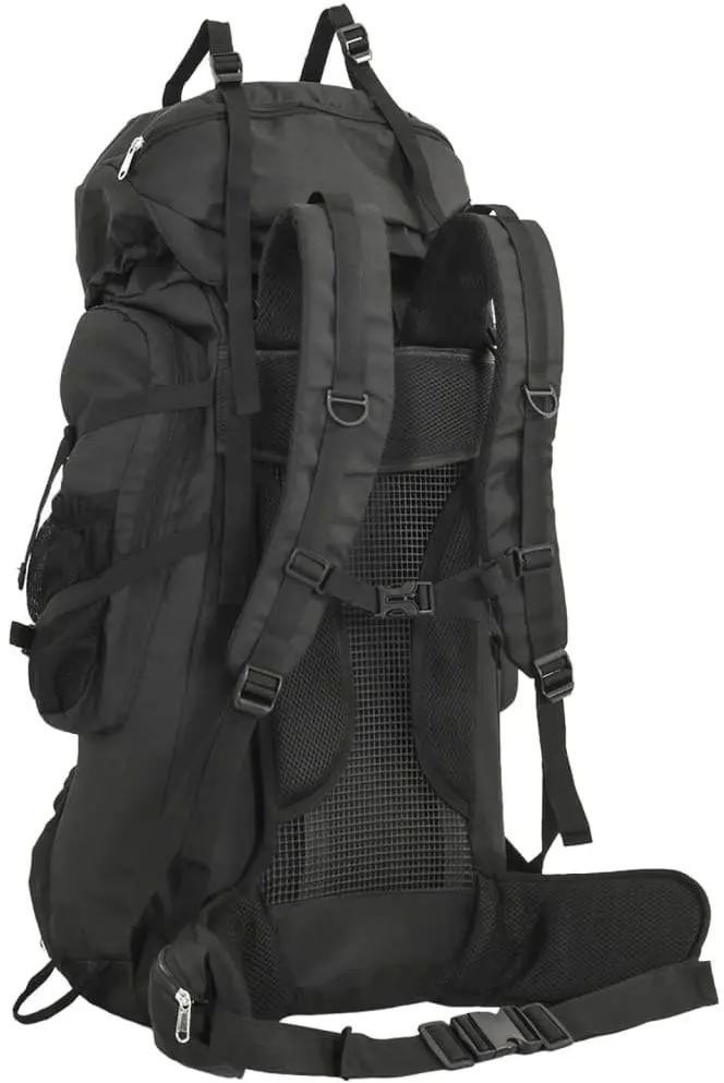 Рюкзак VidaXL 4009974 100L (Black)