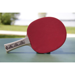 Paleta pentru tenis Donic Young Champs 150 (Black/Red) Thumb