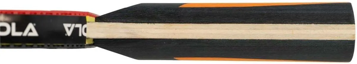 Paleta tenis de masa Joola Carbon Control (Red)