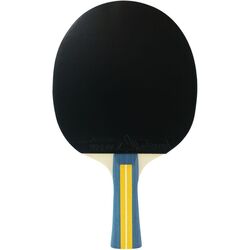 Paleta tenis de masa Joola Team Master (Red/Black) Thumb