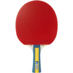 Paleta tenis de masa Joola Team Master (Red/Black)